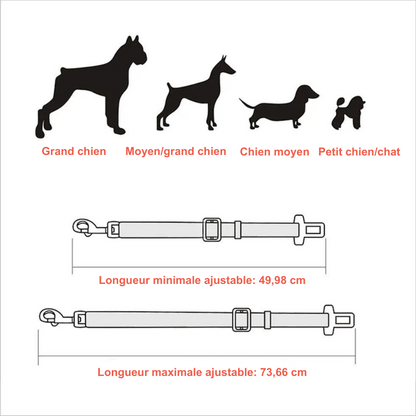 Ceinture de voiture pour animaux de compagnie