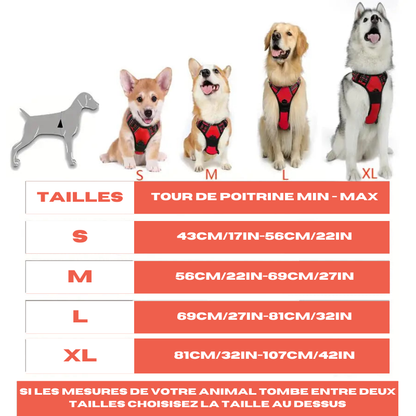 Harnais matelassé chiens pour voiture