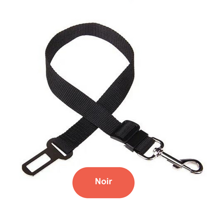 Ceinture de voiture pour animaux de compagnie