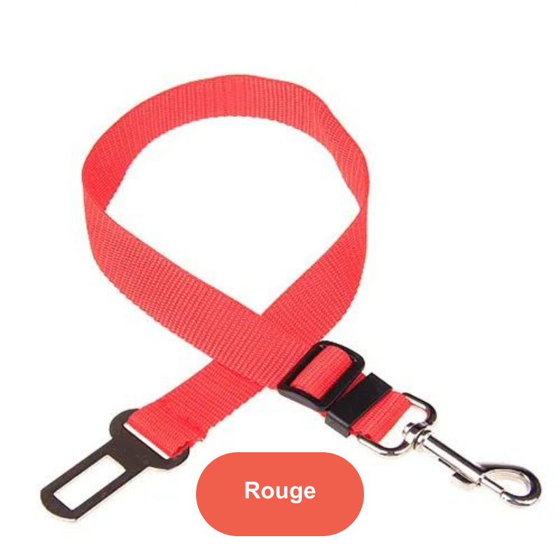 Ceinture de voiture pour animaux de compagnie