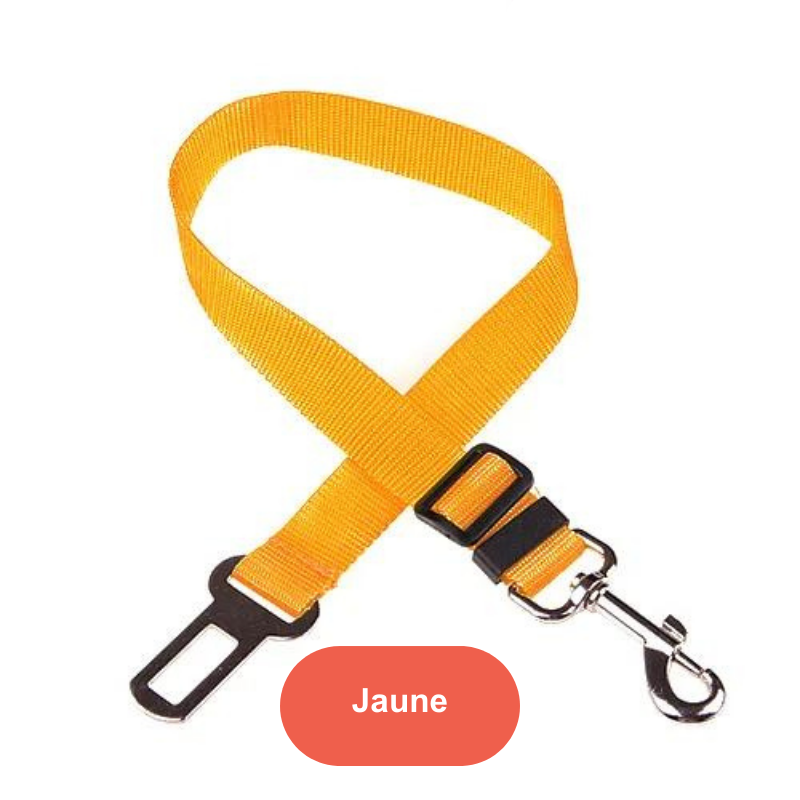 Ceinture de voiture pour animaux de compagnie