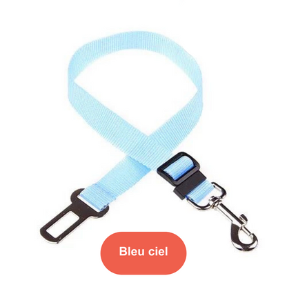 Ceinture de voiture pour animaux de compagnie